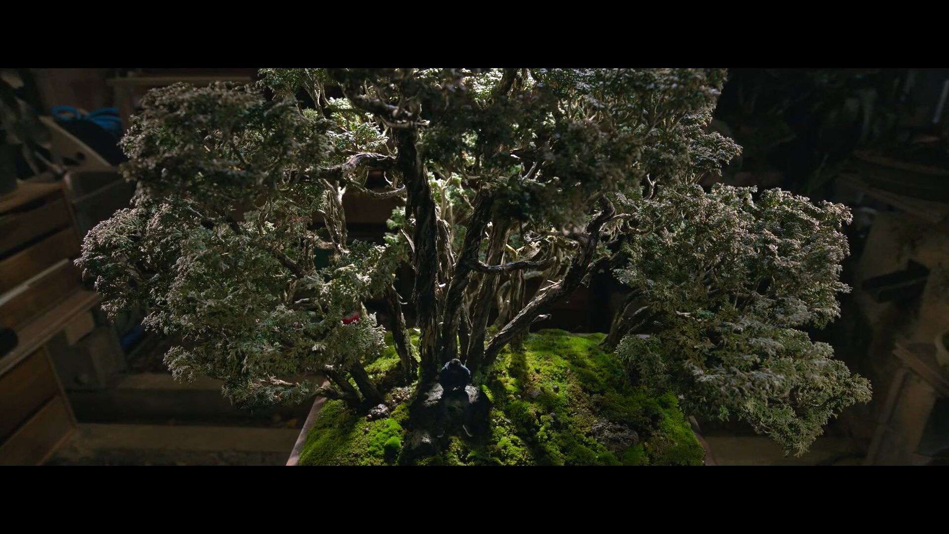 No Other Choice backdrop