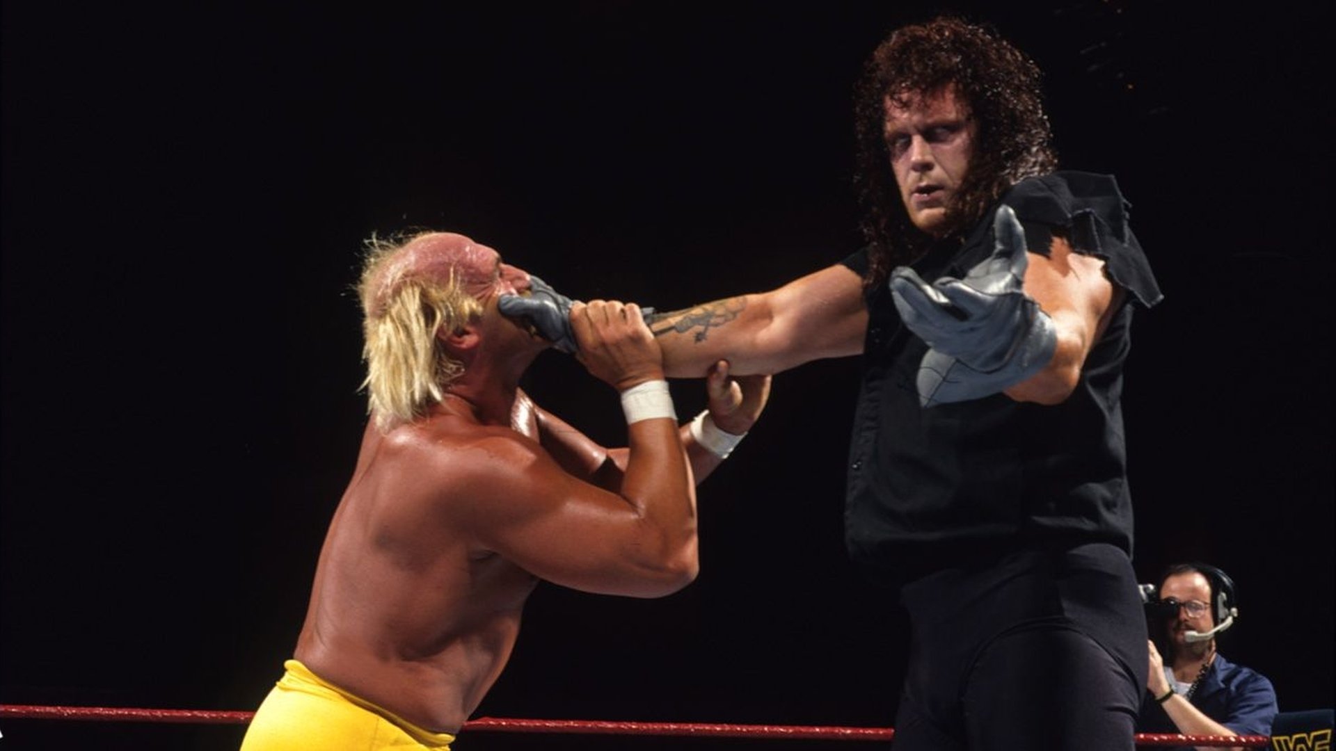 WWE Survivor Series 1991 (1991)