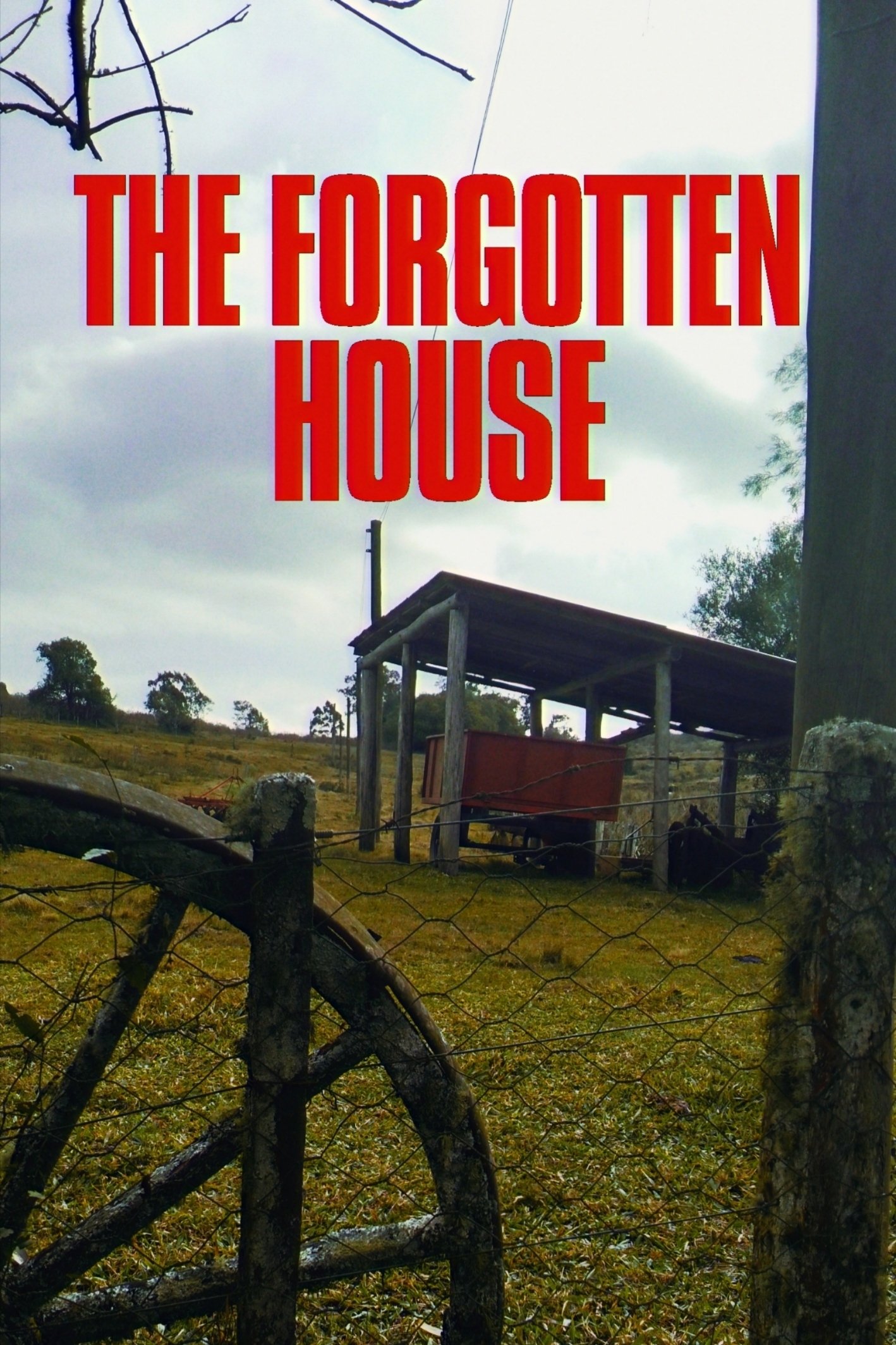The Forgotten House