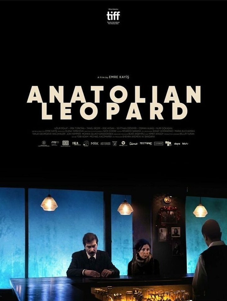 Anatolian Leopard
