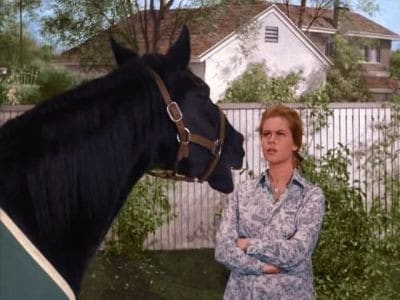Episode 25