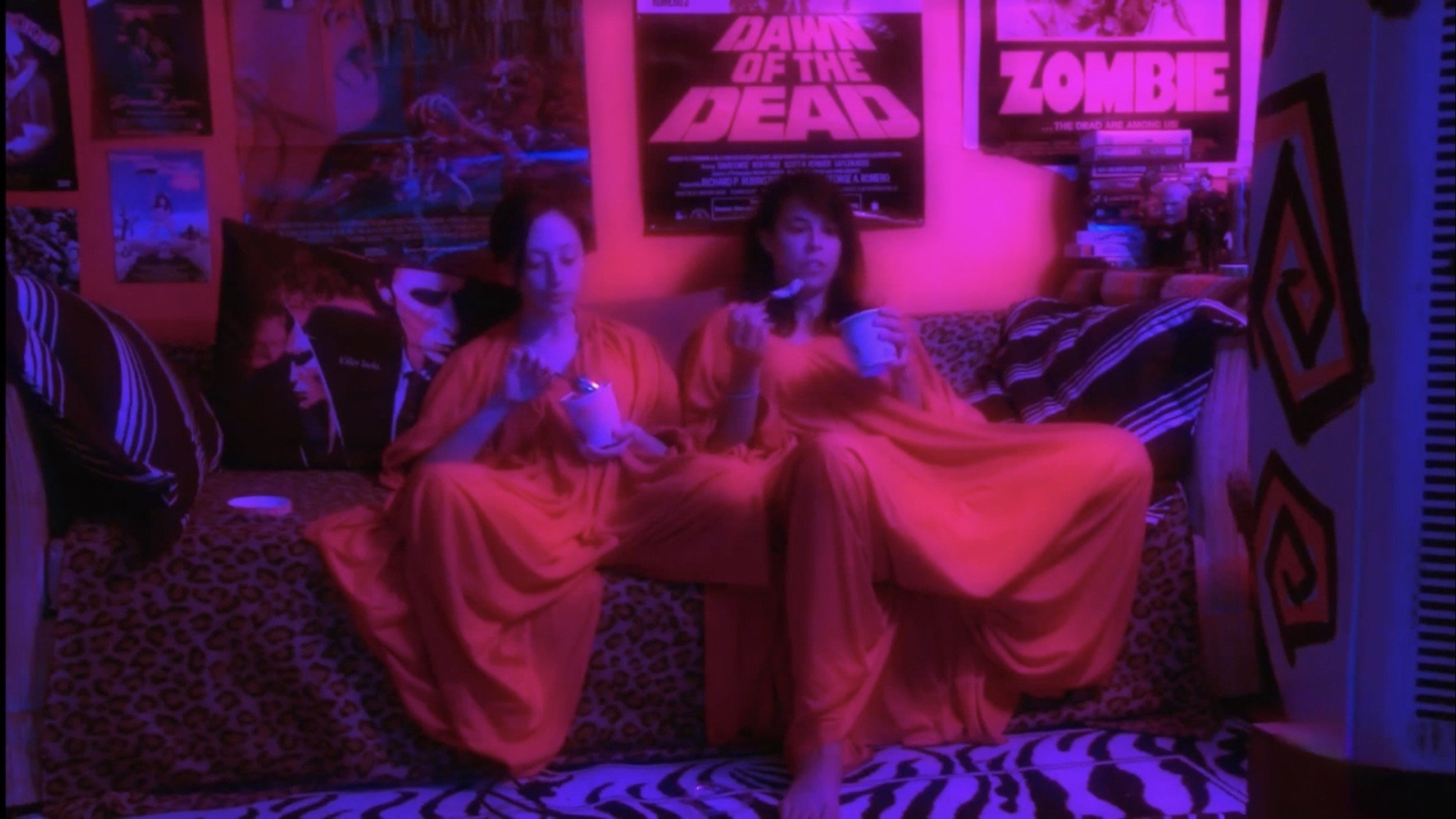 Video Diary of a Lost Girl