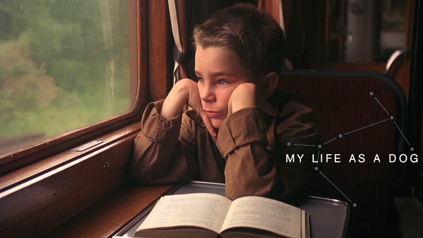 Моє собаче життя (1985)