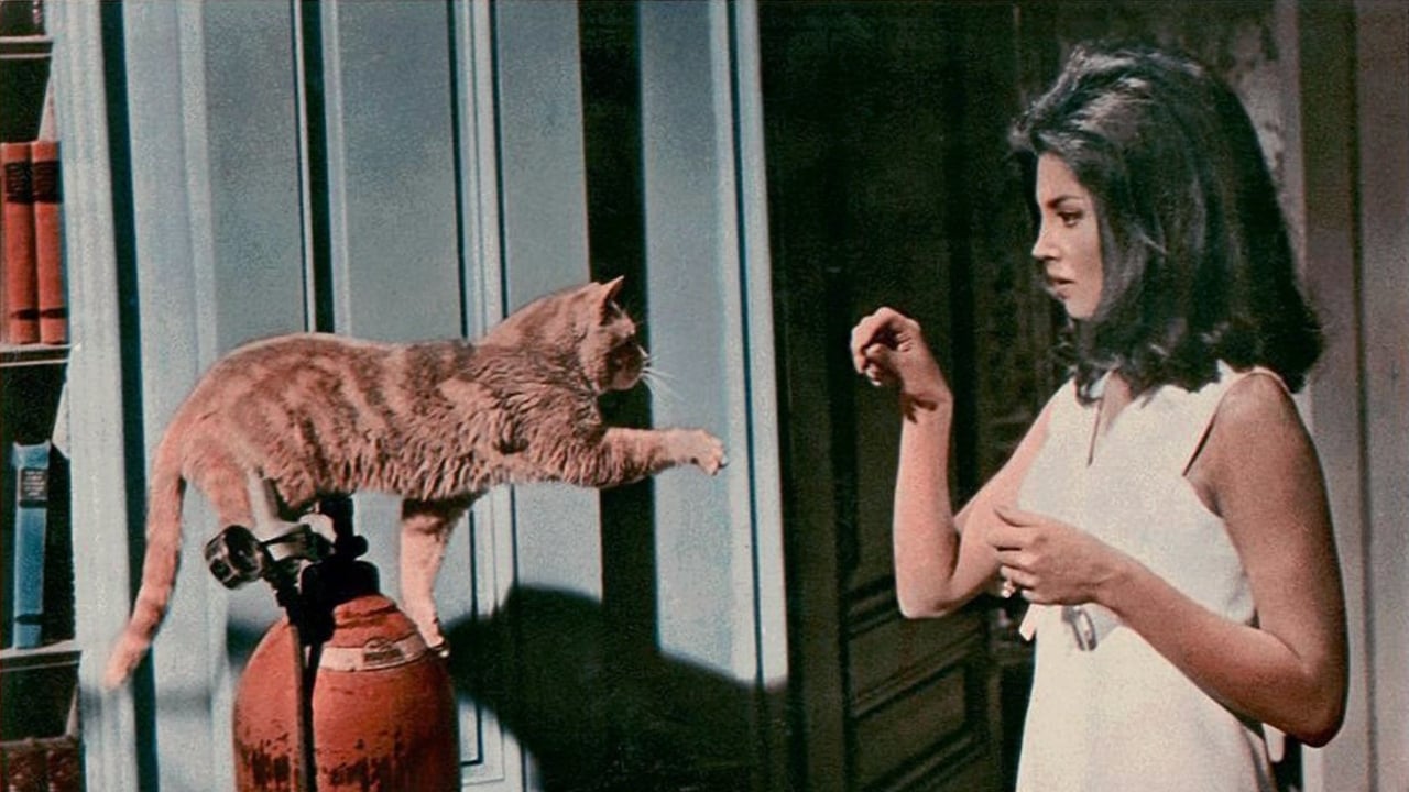 Il terrore negli occhi del gatto (1969)