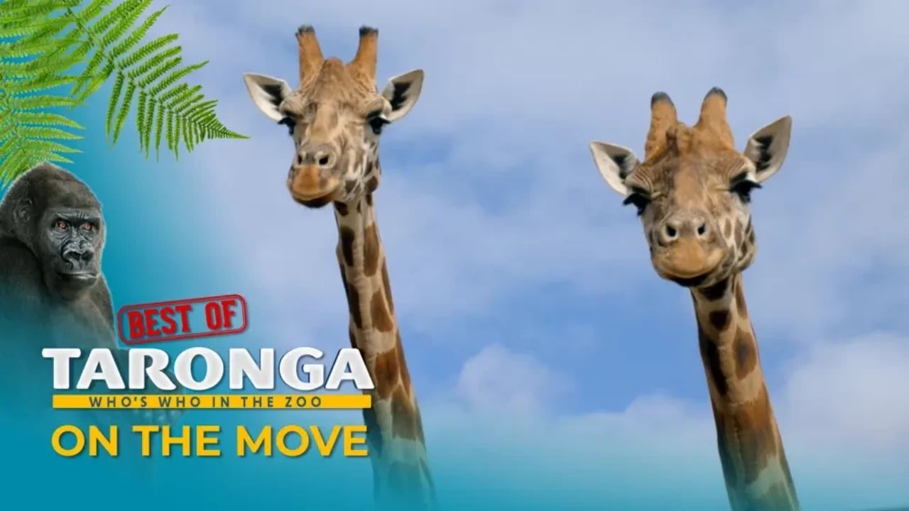 Thumbnail for On the move Season 0 Episode 2