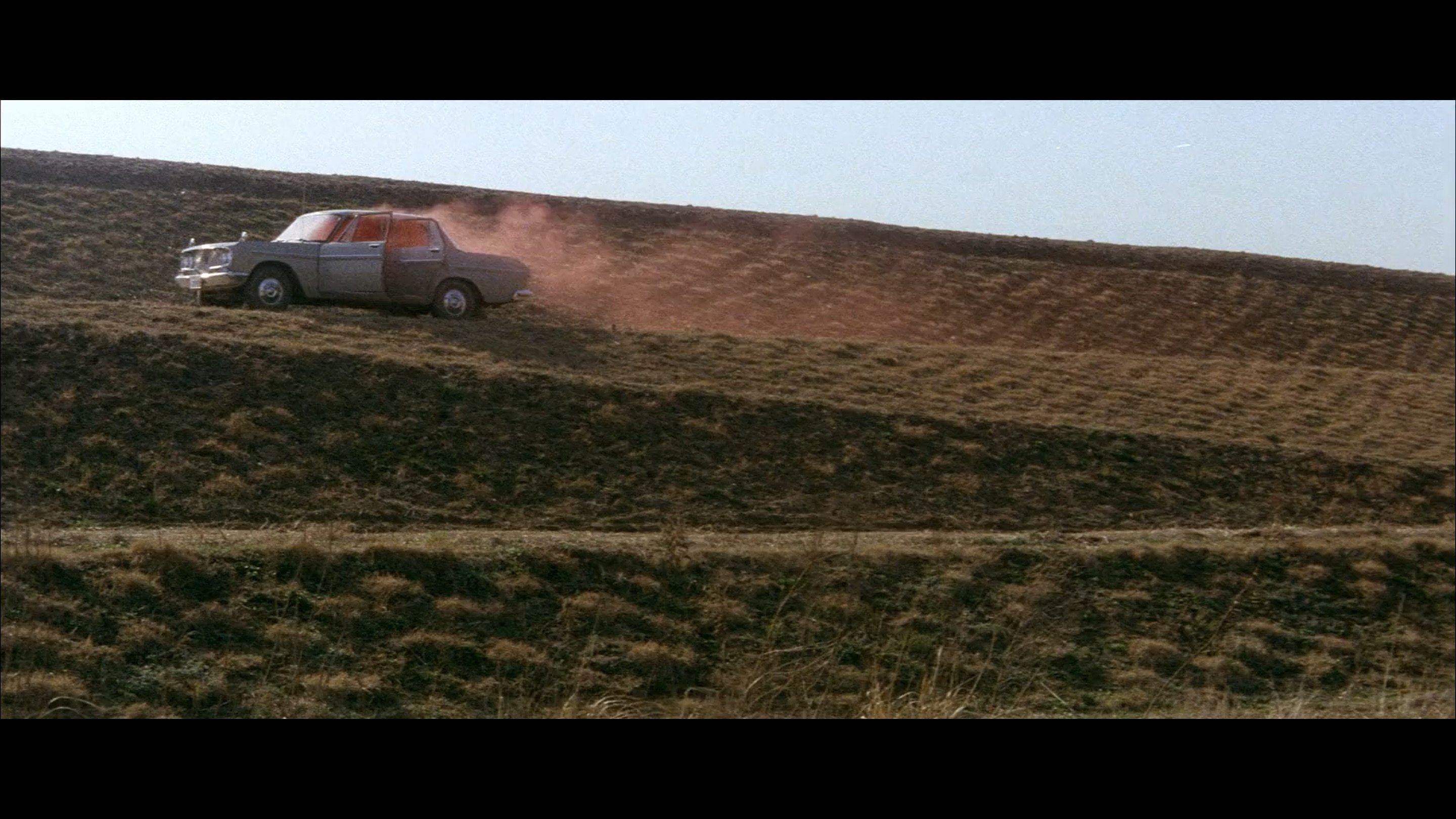 野兽的青春 (1963)
