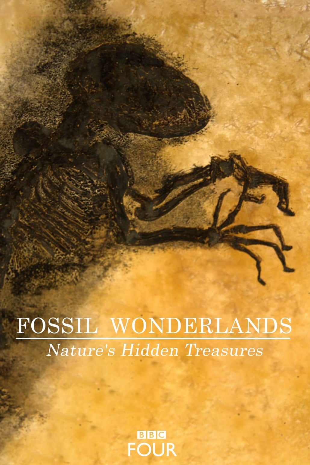 Fossil Wonderlands: Nature's Hidden Treasures TV Shows About Dinosaur