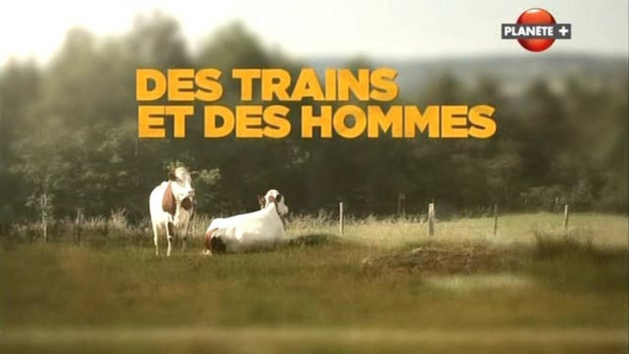 Il était une fois le train