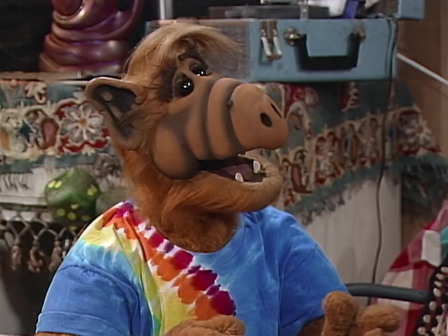 Alf - La Première Fois
