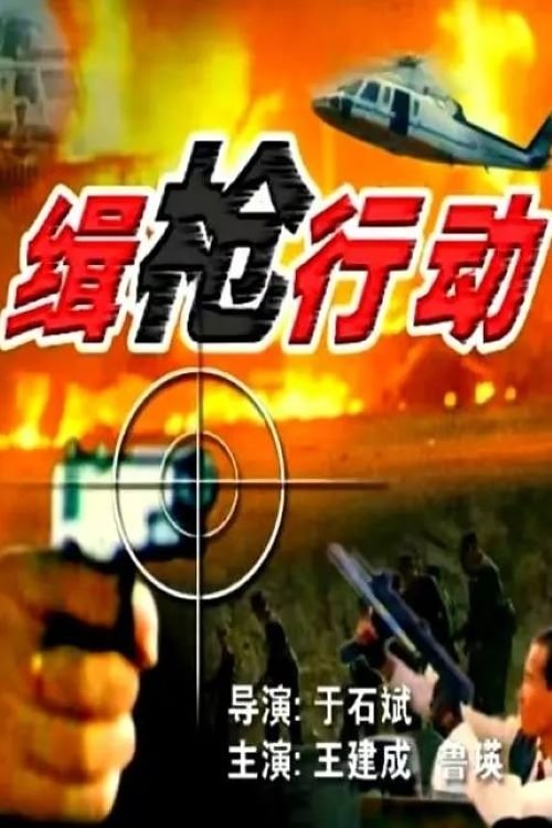缉枪行动 缉枪行动