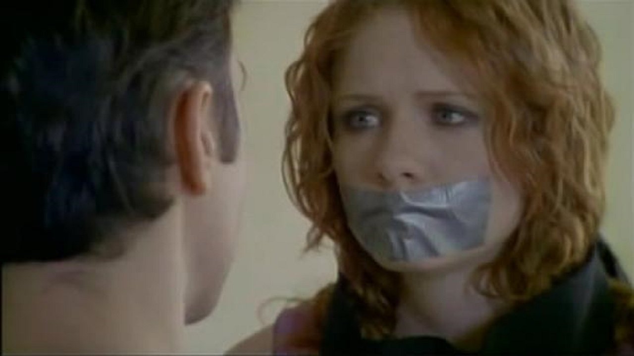 The Wild Card (2004)