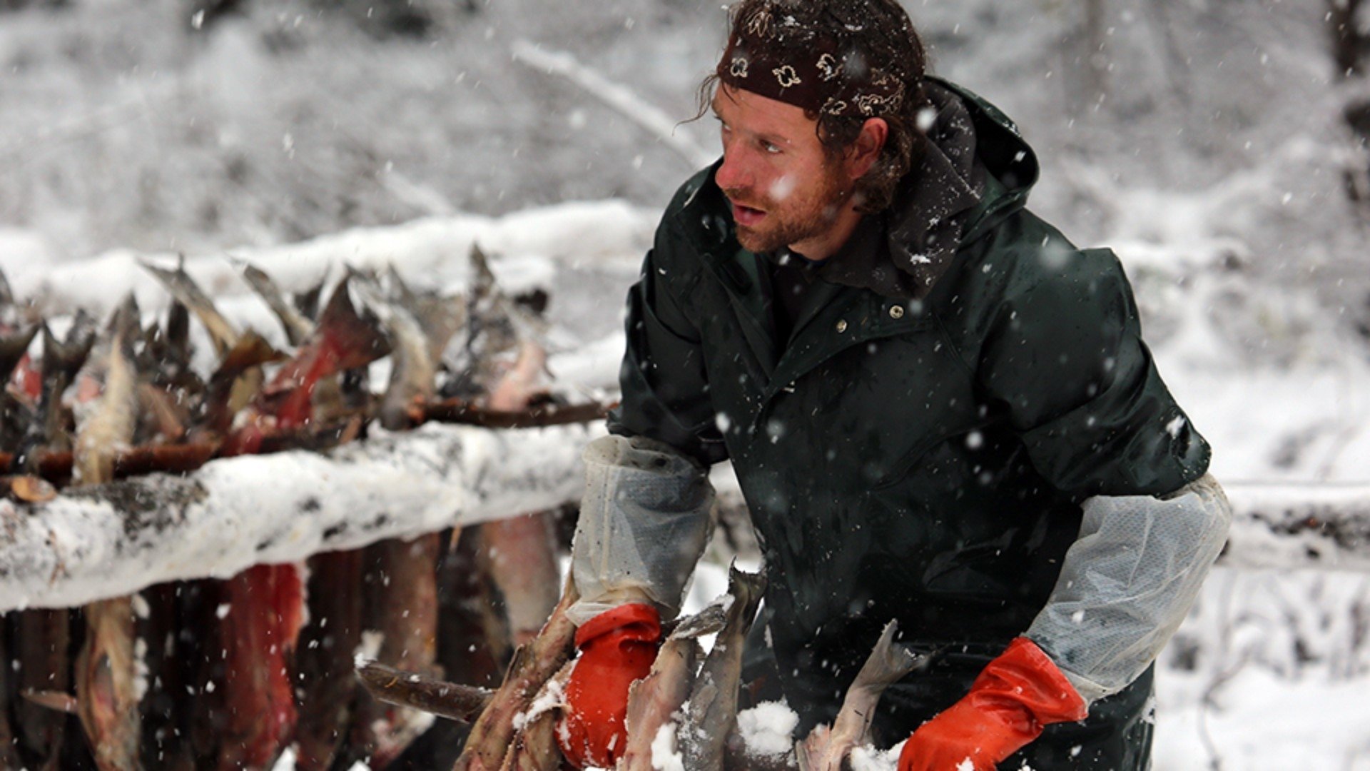 Life Below Zero