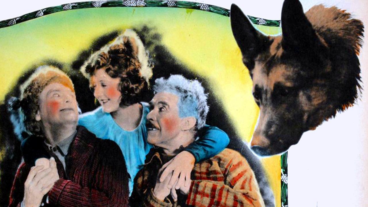 The Love Master (1924)