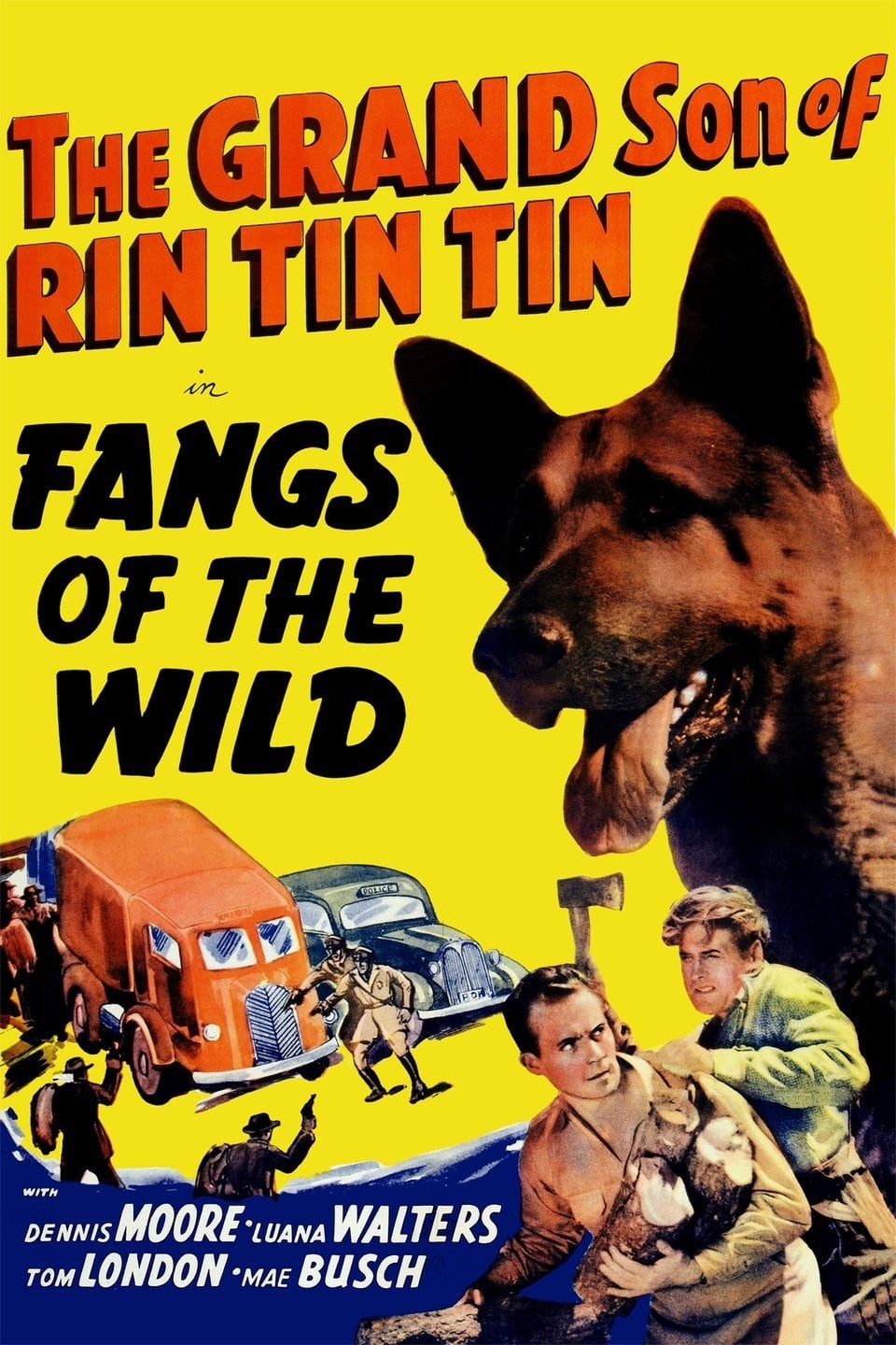 Fangs of the Wild on FREECABLE TV
