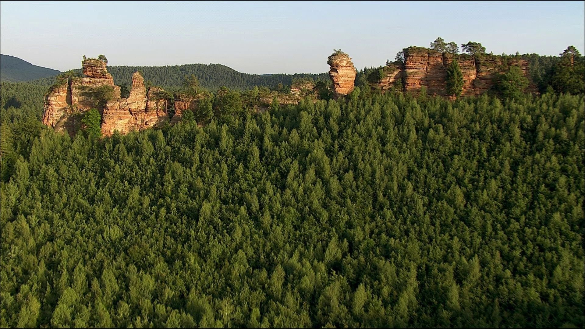 The Palatinate Forest