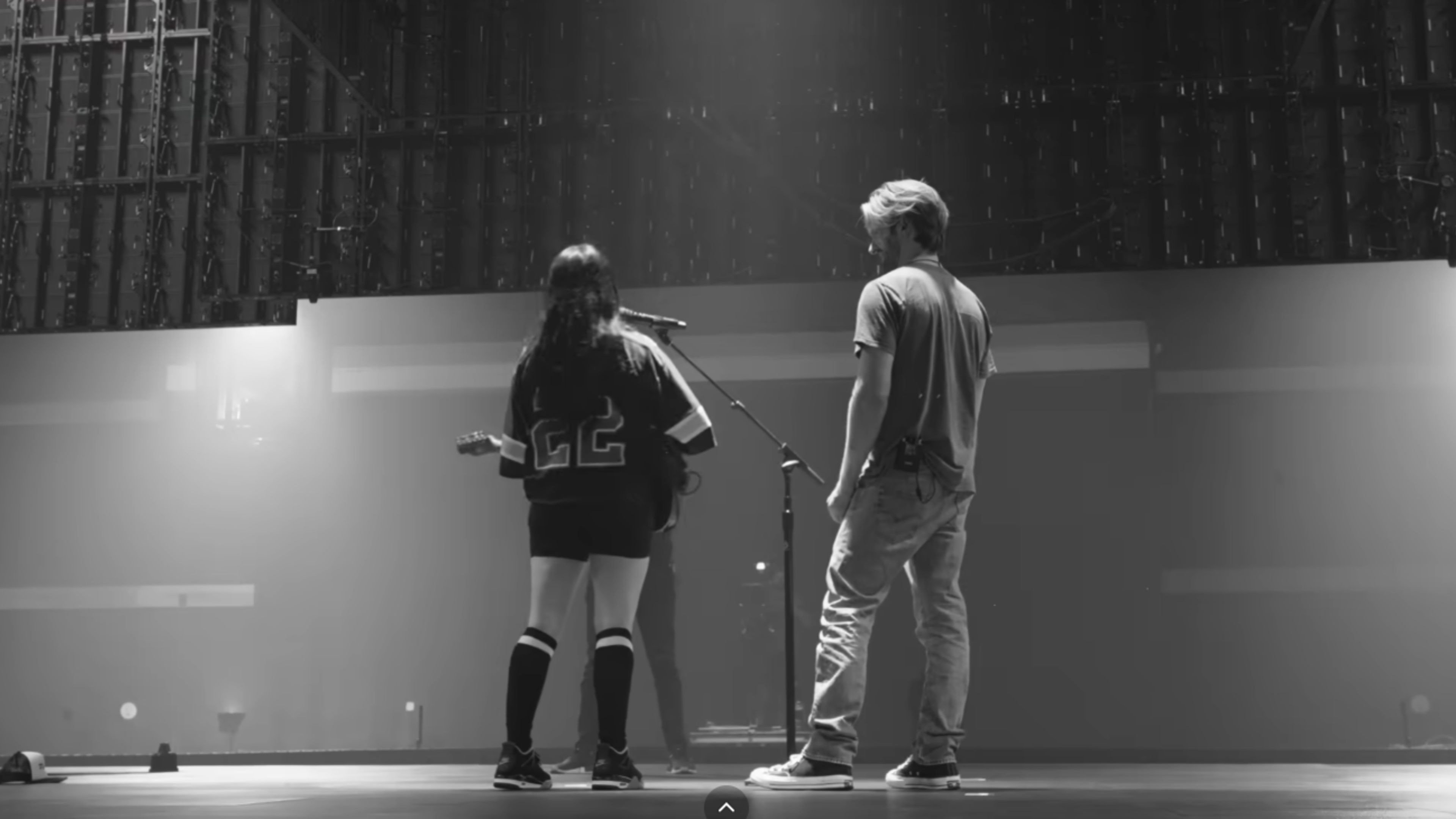Billie Eilish - Hit Me Hard and Soft: The Tour (Live in 3D) backdrop