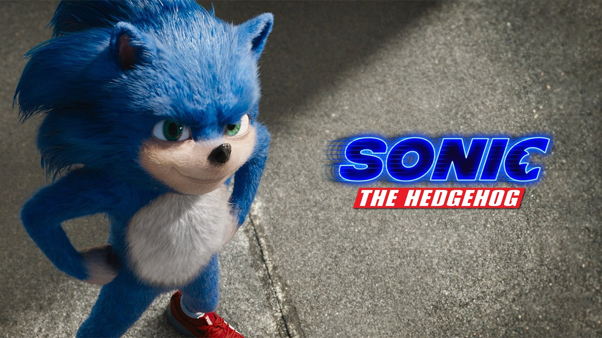 Nhím Sonic (2020)