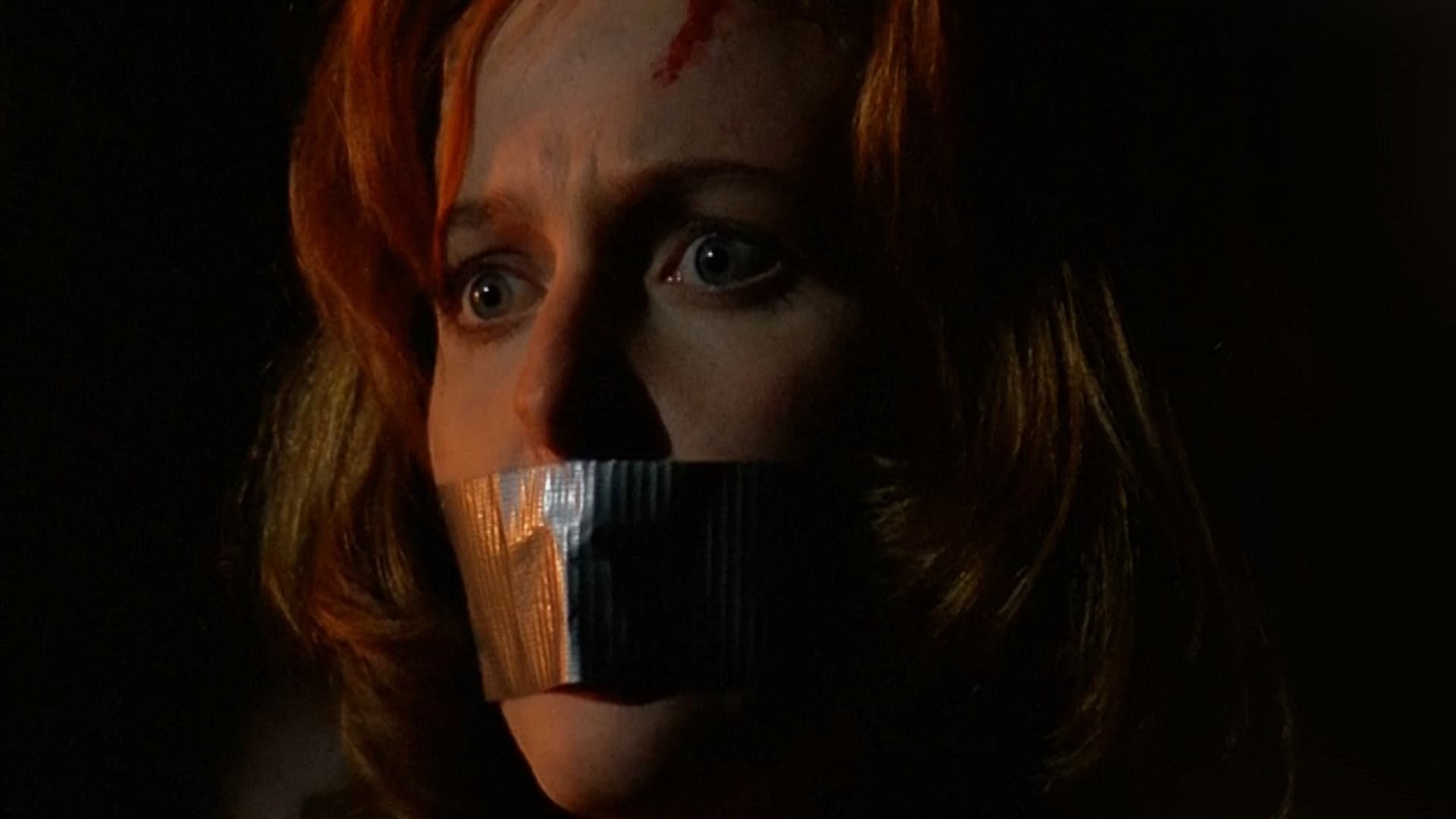 The X-Files Season 2 Episode 24