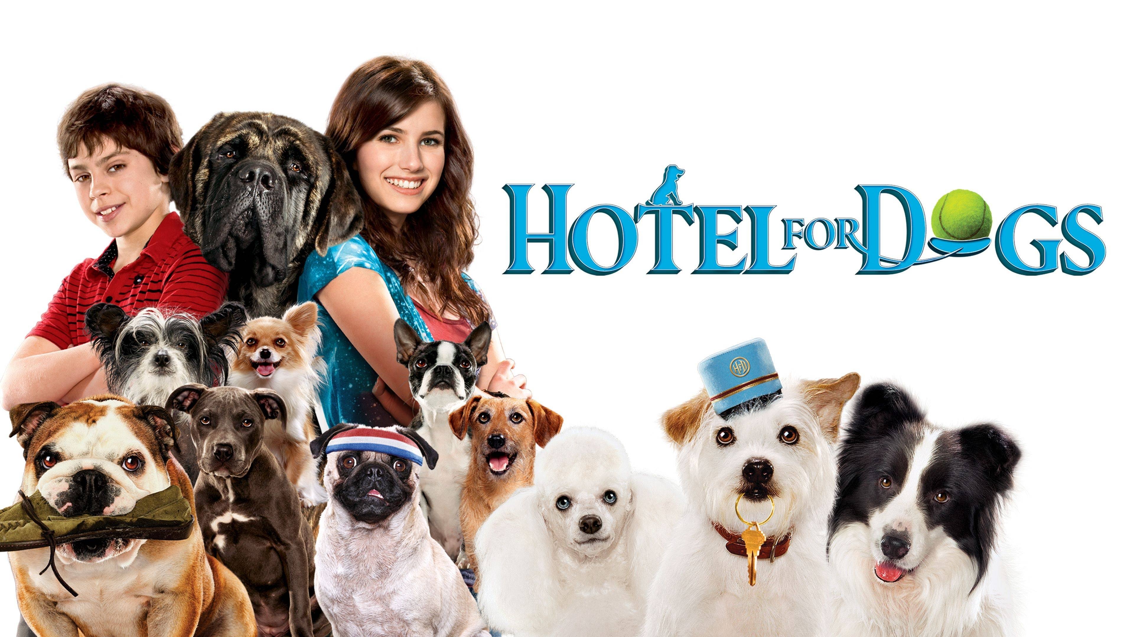 Hotel pro psy (2009)