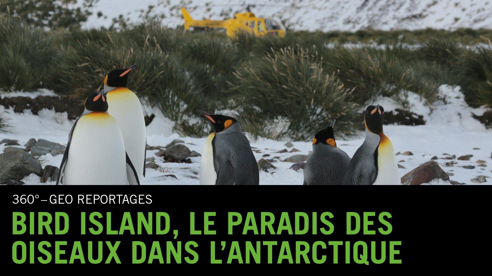 360° - Die GEO Reportage