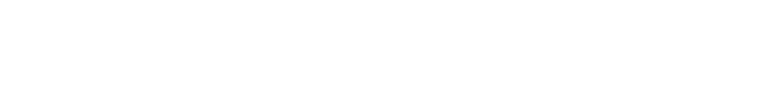 Stowaway Logo