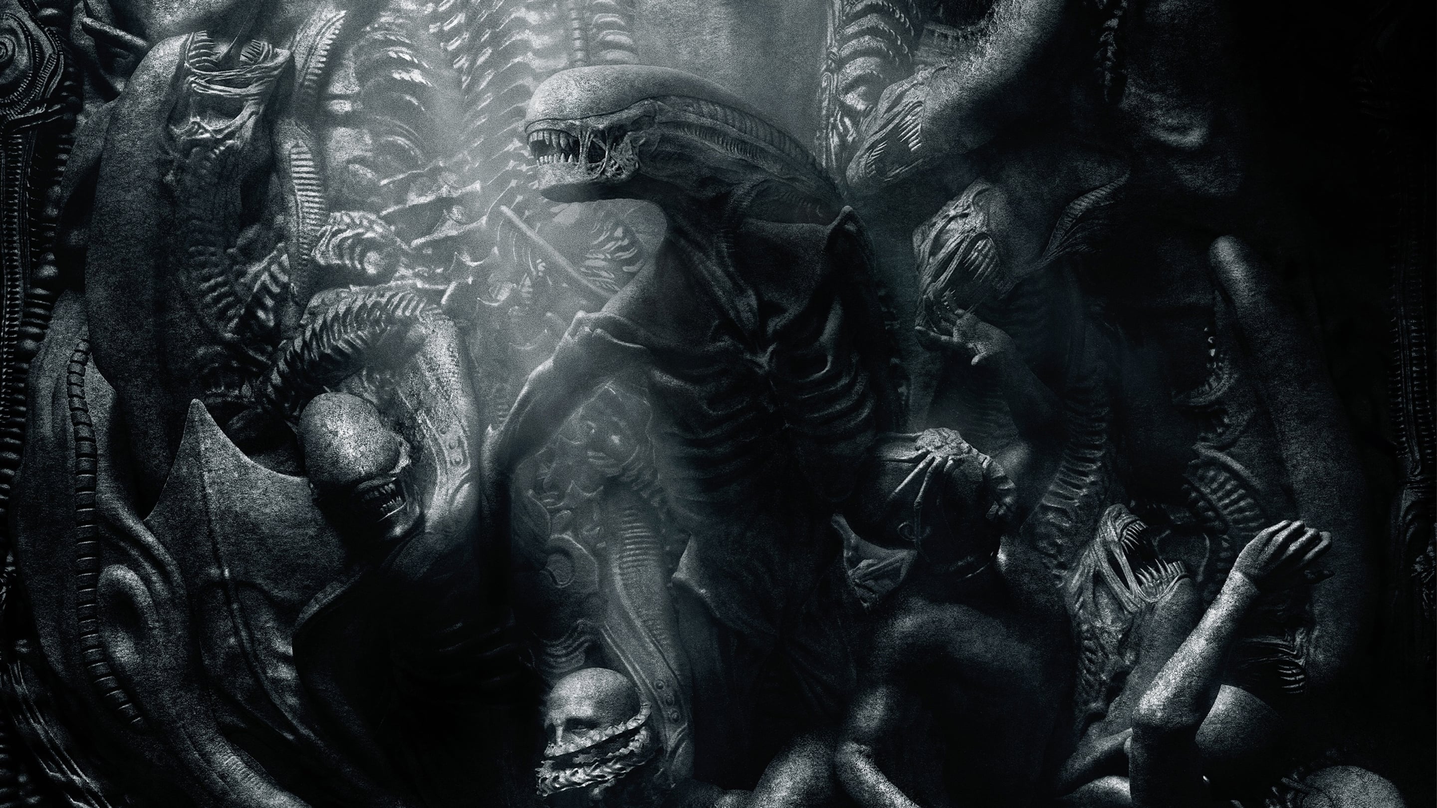 Image du film Alien : Covenant pmmithnwz4eyhh4rvejgbx710lojpg