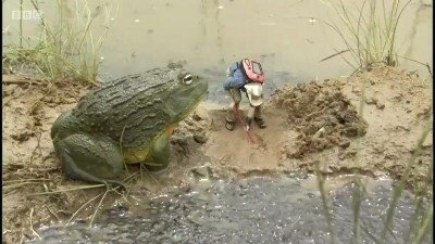 Episode 15