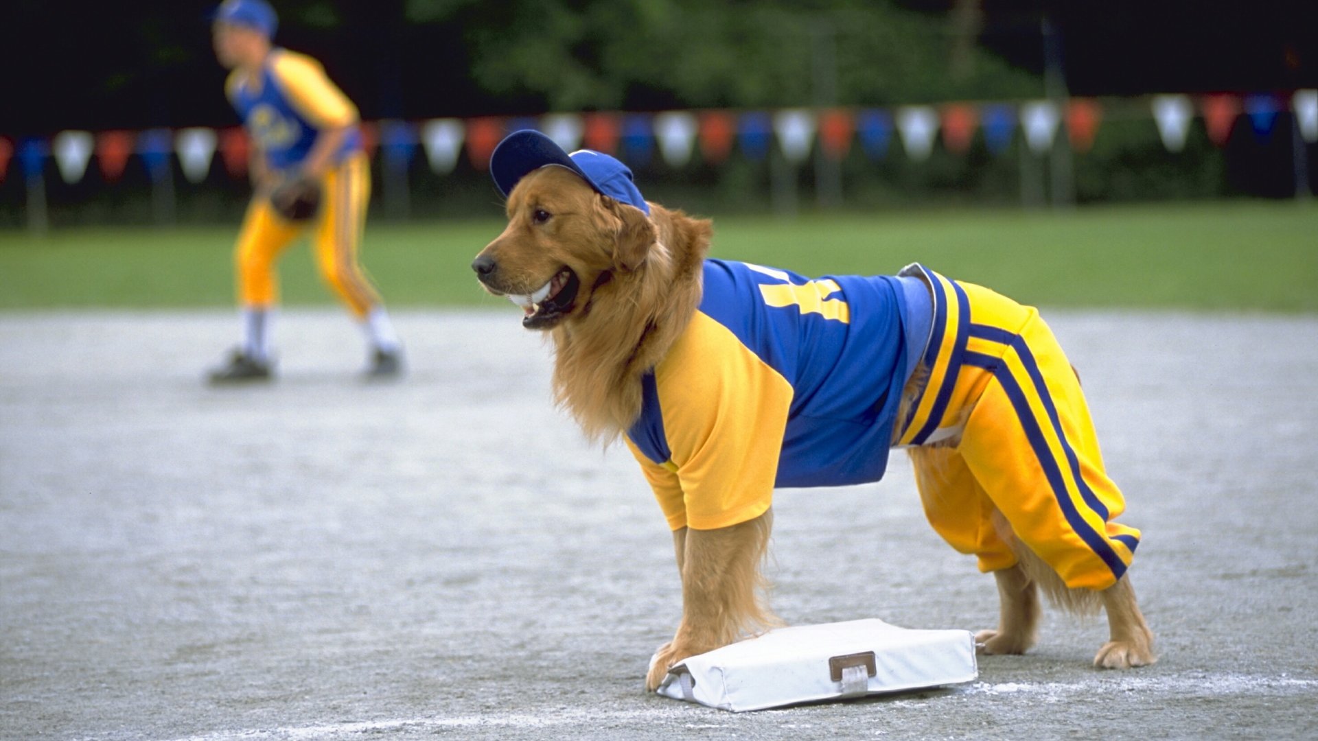 Air Bud: Seventh Inning Fetch