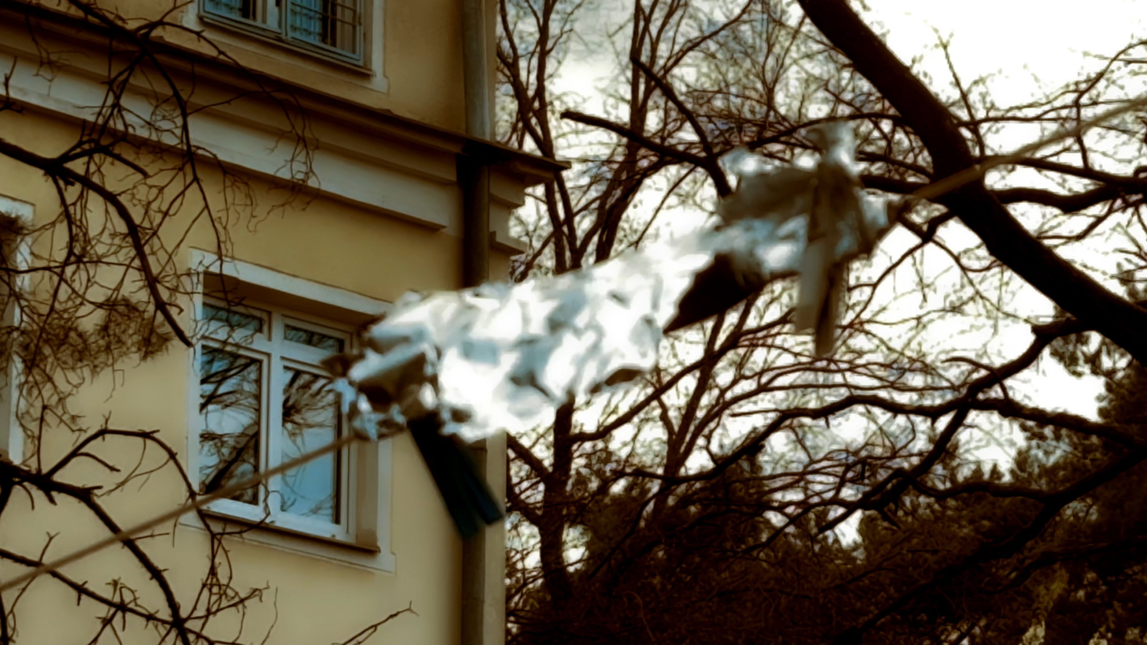 The Wind