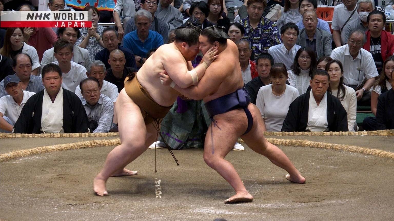 GRAND SUMO Highlights 31x6