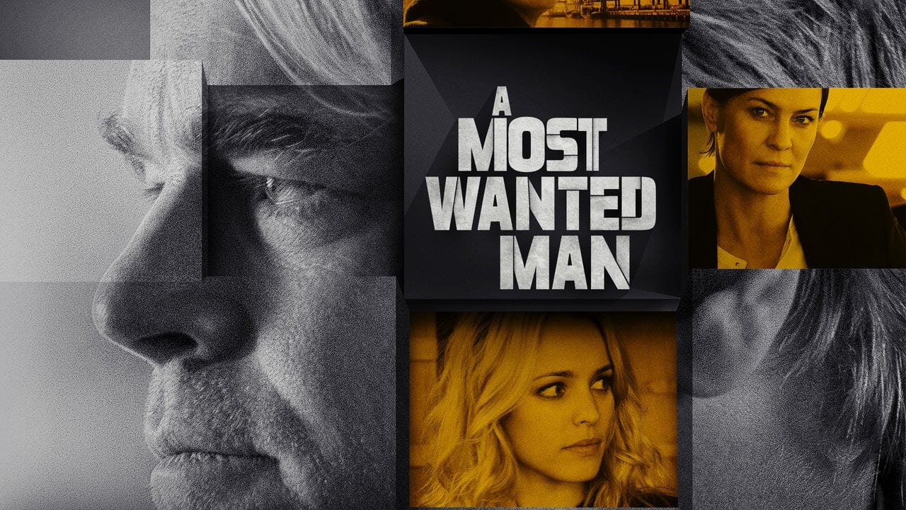 A Most Wanted Man (2014)