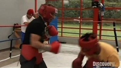 Fight Quest