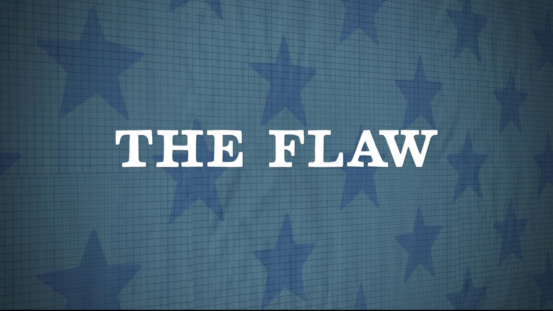 The Flaw (2011)