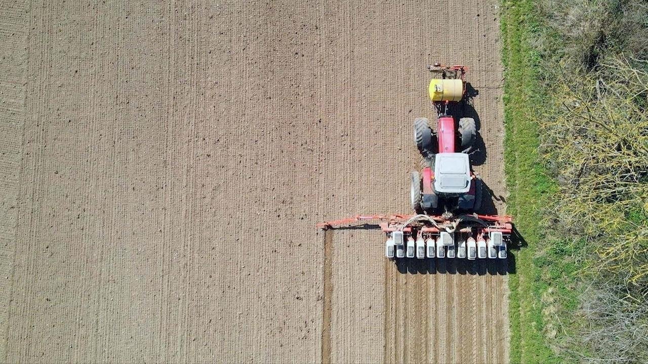 Imagem do Filme Insecticide - Comment l'agrochimie a tué les insectes