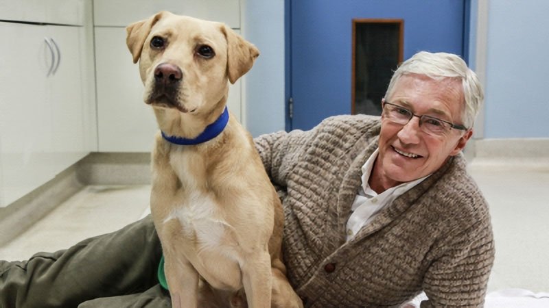 Paul O'Grady, pour l'amour des chiens - Épisode 7