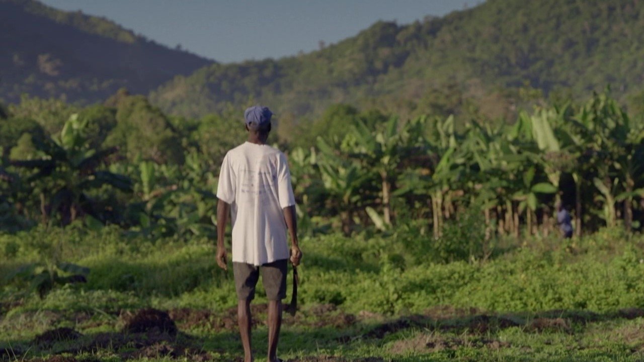 Haïti, la rançon de l'indépendance