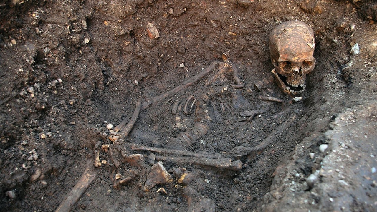 Richard III: The King in the Car Park (2013)