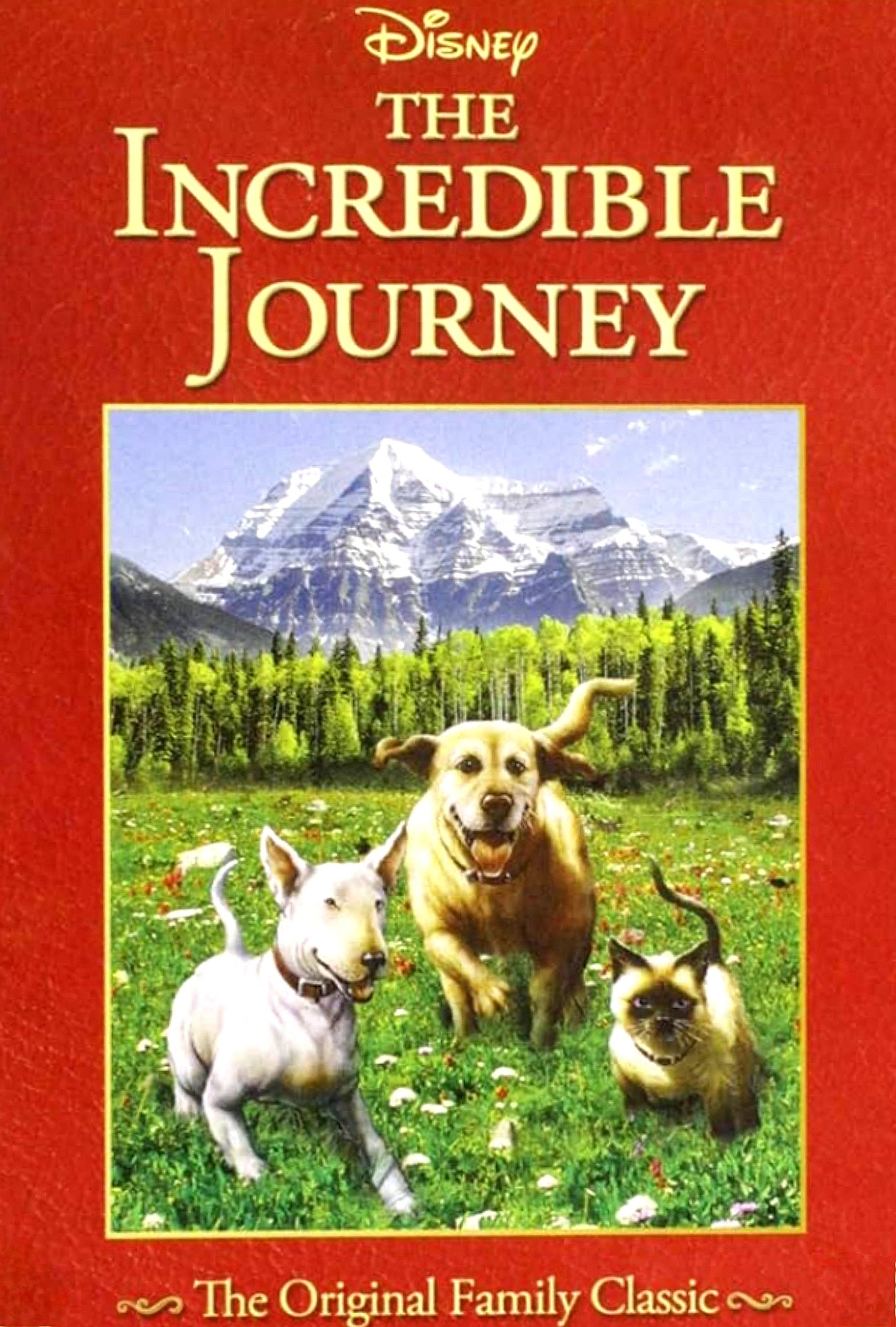 The Incredible Journey