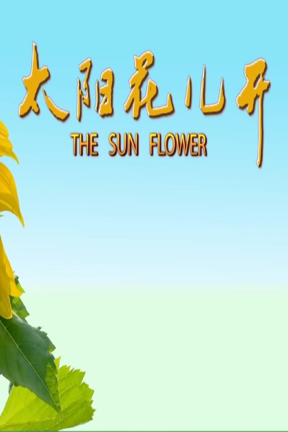Content cover