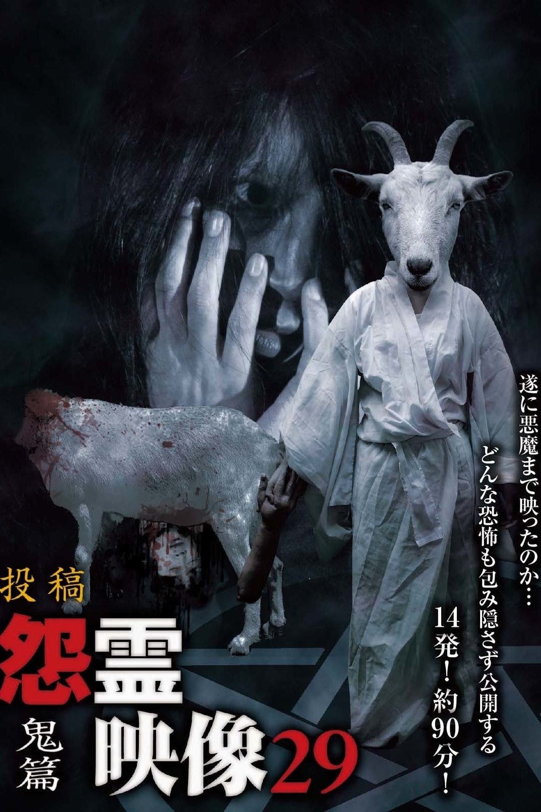 投稿 怨霊映像 Vol.29 鬼篇 投稿 怨霊映像 Vol.29 鬼篇