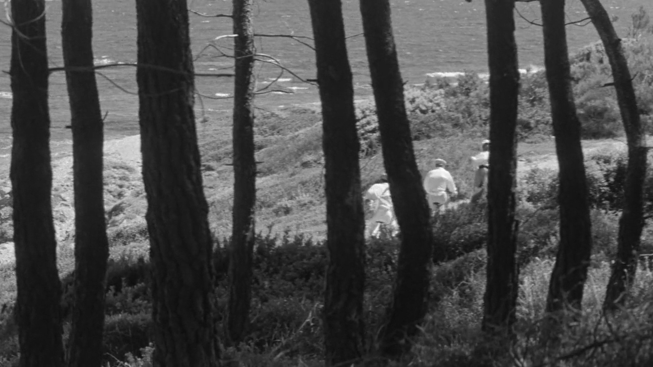 Jules and Jim (1962)