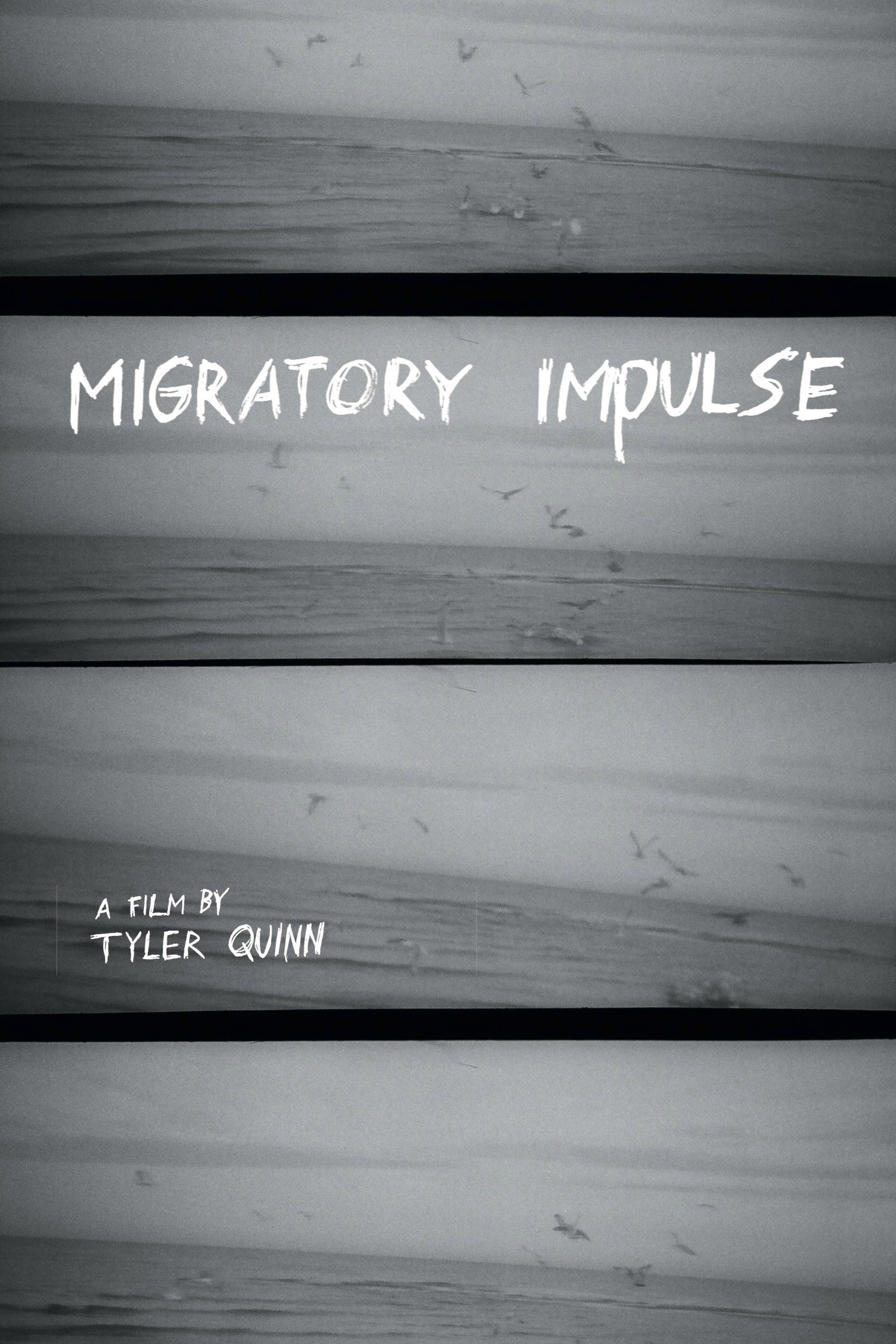 Migratory Impulse