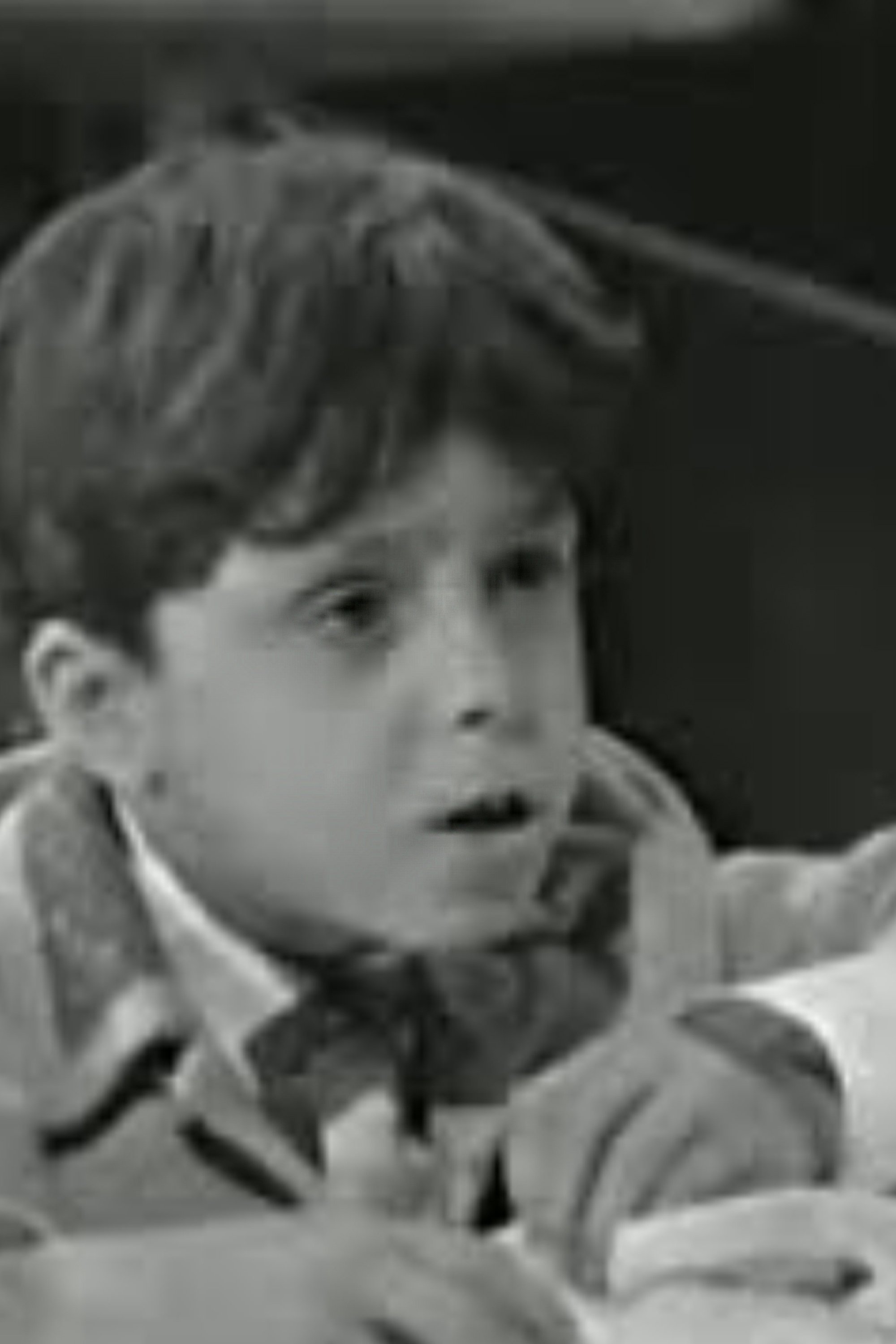 et billede af Cin Ali