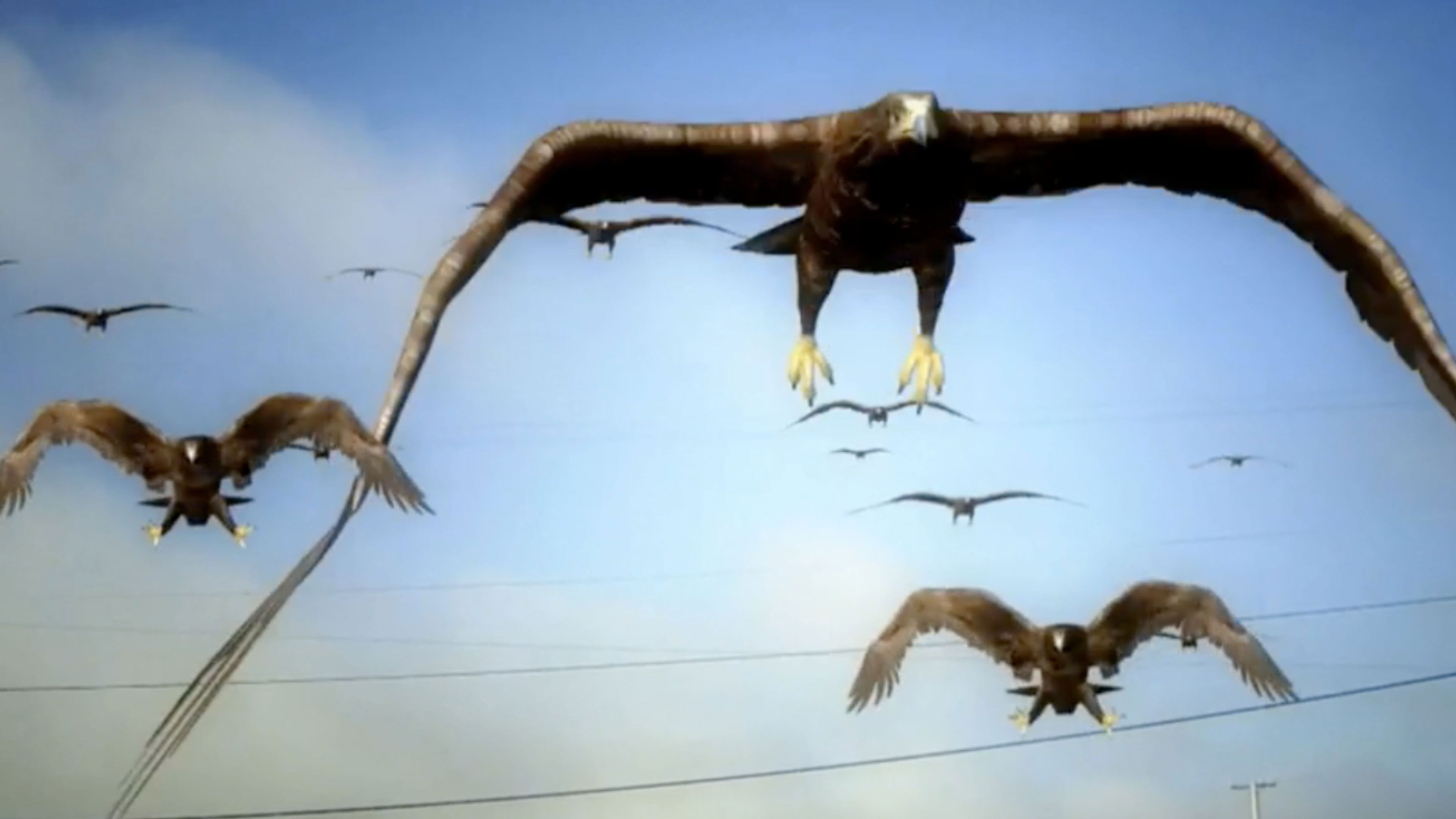 Birdemic : Macron Terror