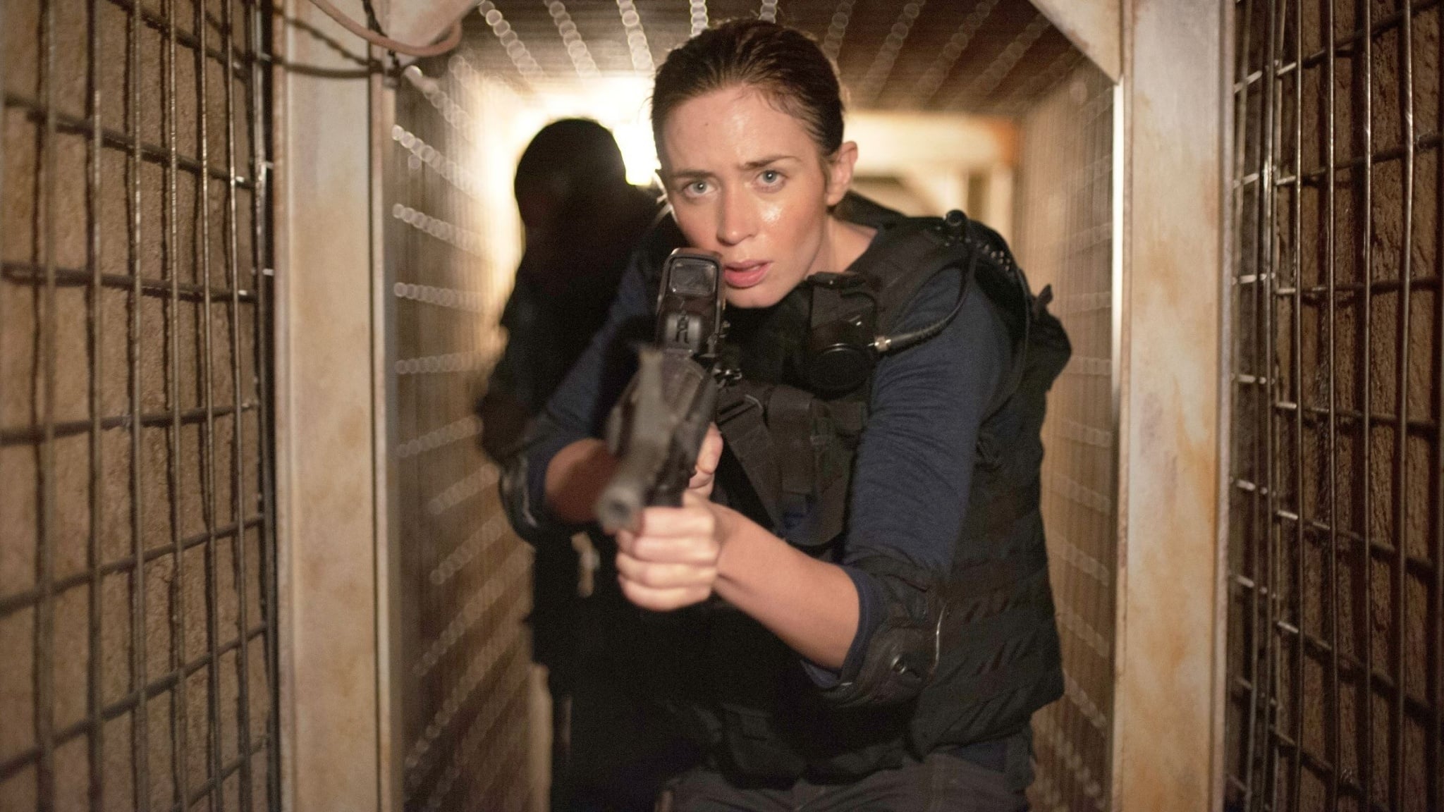 Sicario: Nájemný vrah (2015)