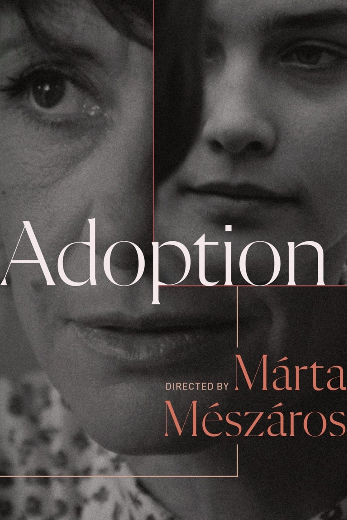 Adoption