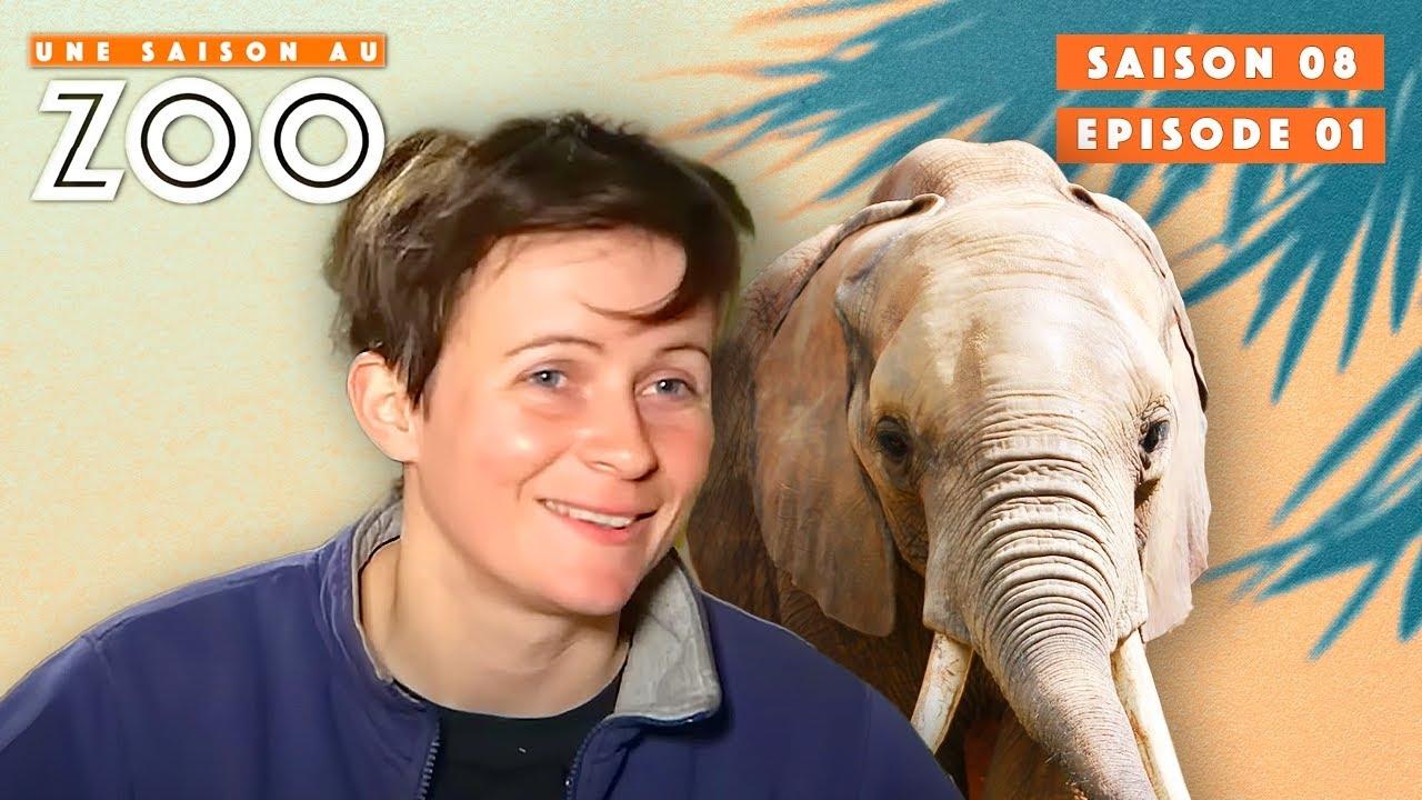 Une saison au zoo - Sabrina entraine les Éléphants Boubou et Boten!