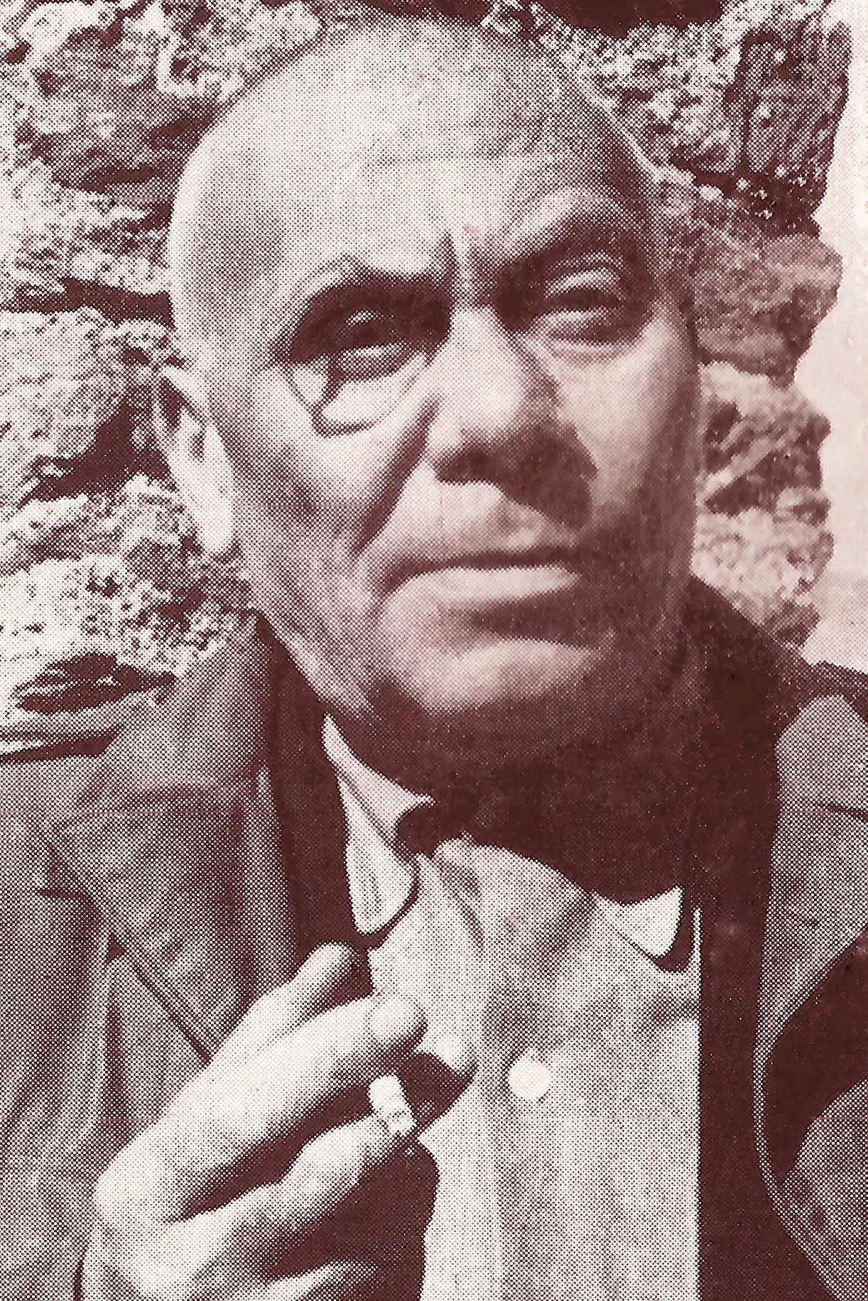 et billede af Raf Pindi