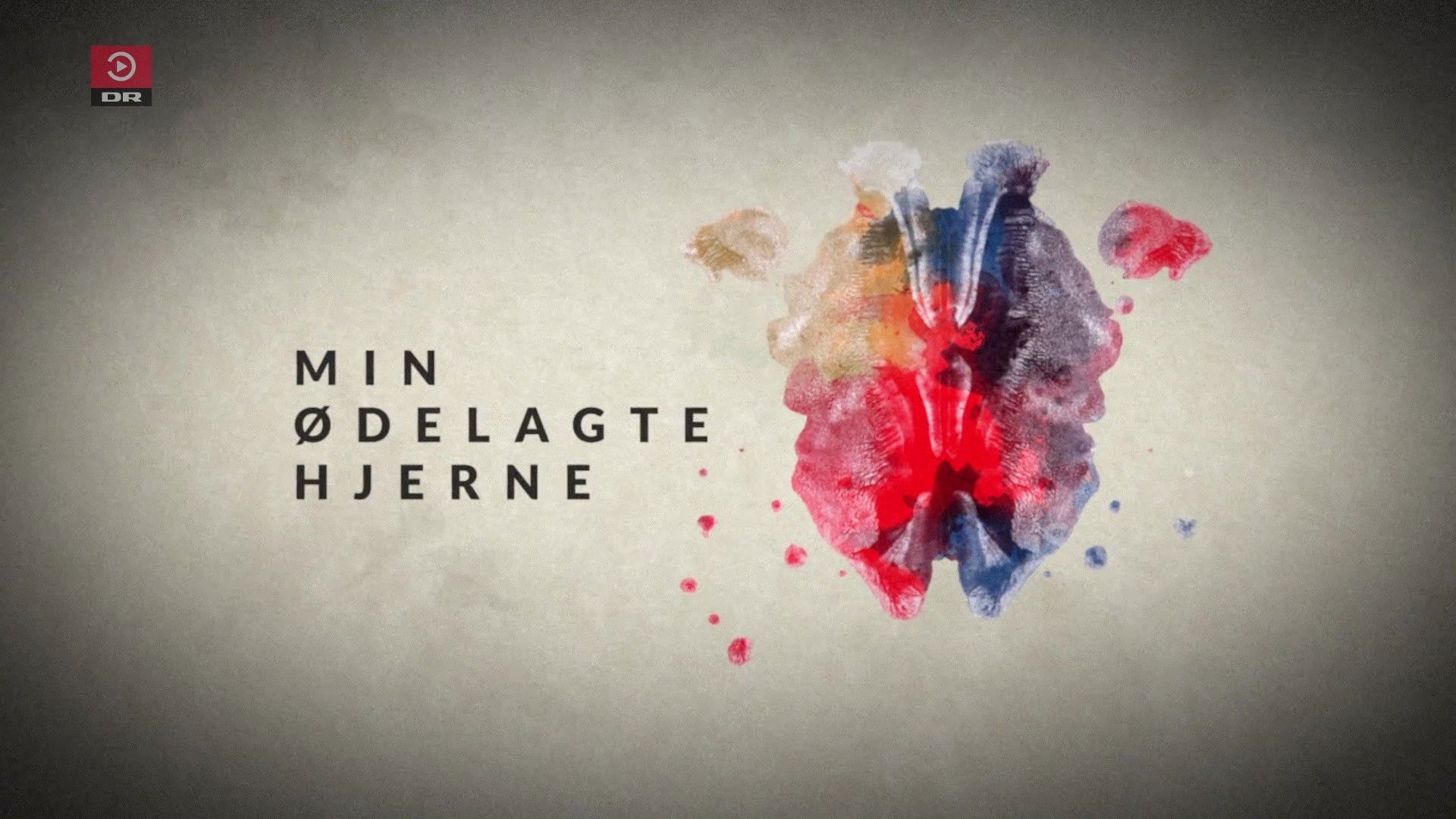 Min &oslash;delagte hjerne