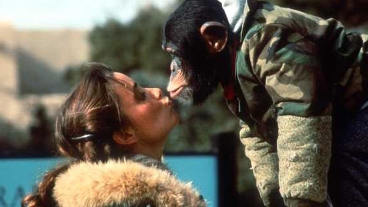 Animal Behavior